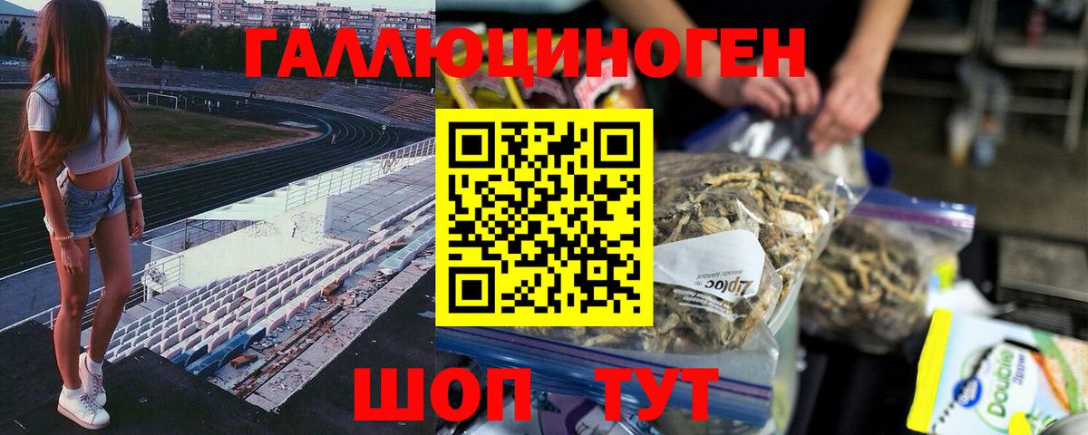 наркошоп  Кинешма  Псилоцибиновые грибы ЛСД 