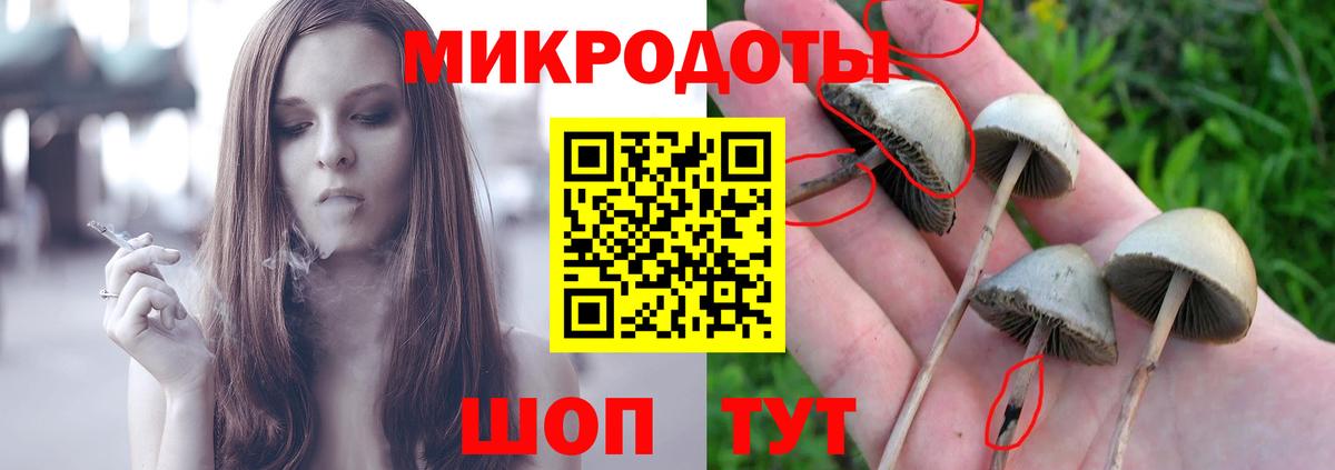Псилоцибиновые грибы GOLDEN TEACHER  Вход с VPN  наркотики  Кинешма 